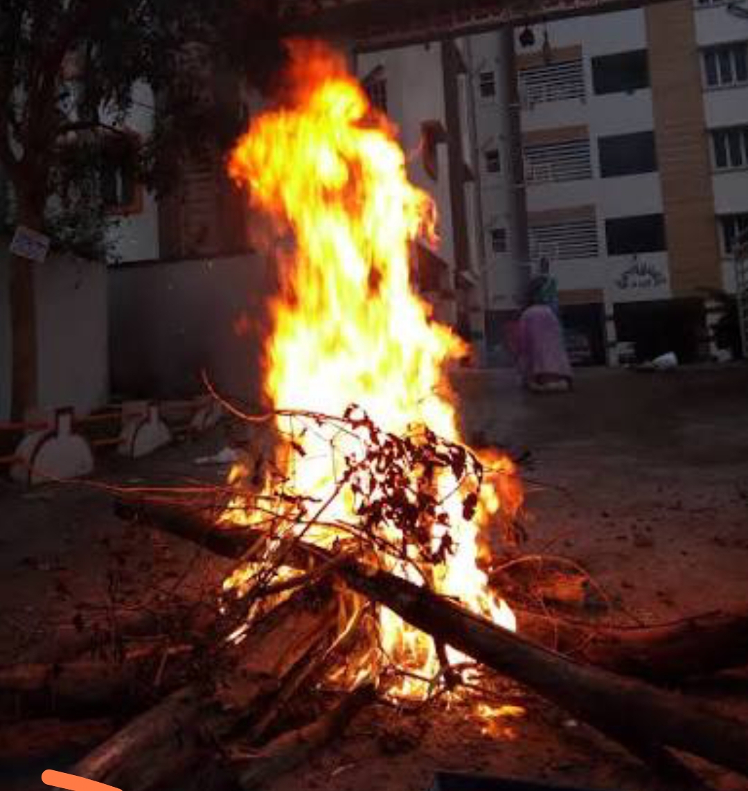 Bhogi Festival